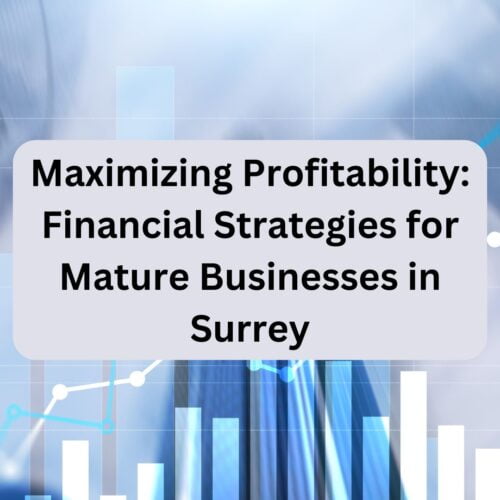 Maximizing Profitability_ Financial Strategies for Mature Businesses in Surrey